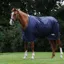 Saxon Defiant 600D Standard Neck 0g Turnout Rug - Navy/White